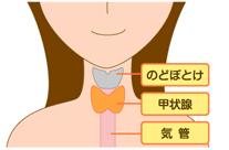 暑がり、寒がり、むくみは甲状腺が関係しているかも？のアイキャッチ画像