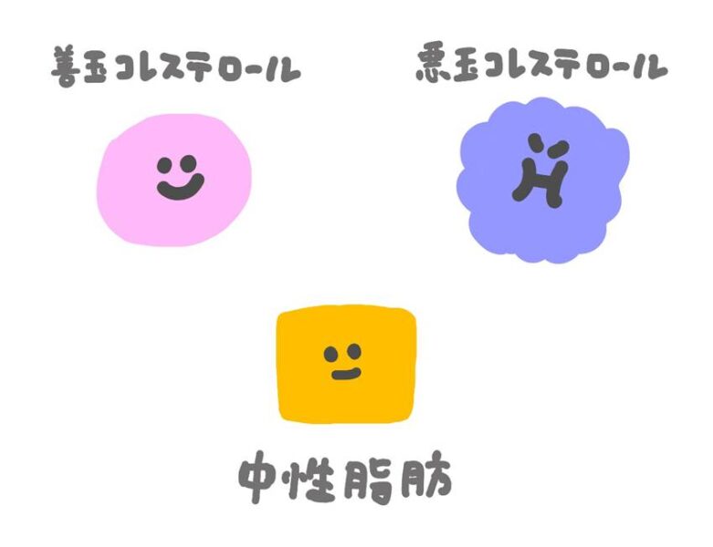 善玉？悪玉？コレステロールと中性脂肪のキホン。薬を飲む前に試したい食事改善のコツのアイキャッチ画像