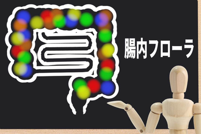腸内フローラを整えて便通改善 — 善玉菌・悪玉菌・日和見菌のバランスと食事・生活習慣の整え方のアイキャッチ画像